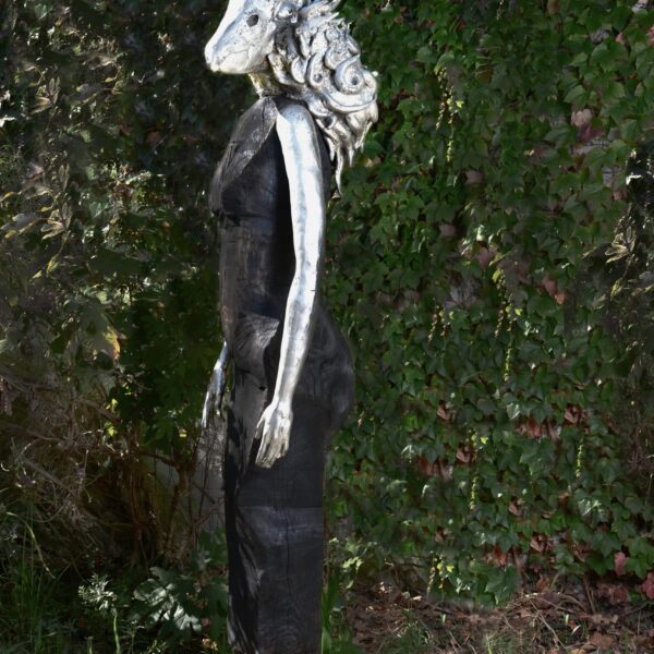Condor Lady