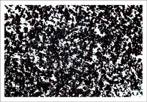 Blackbird Murmuration