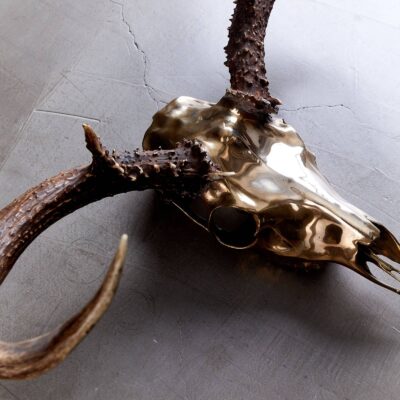 Bronze Deer Mount Large