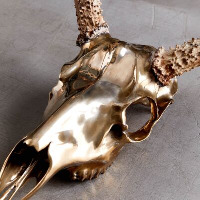 Bronze Deer Mount Small