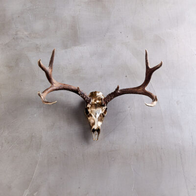 Bronze Deer Mount Large