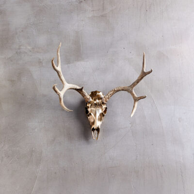 Bronze Deer Mount Small