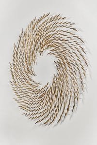 Ceramic Fish Installation