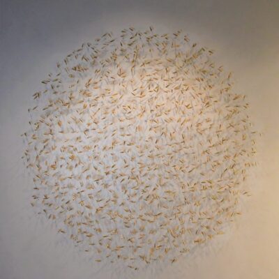 Ceramic Fish Installation