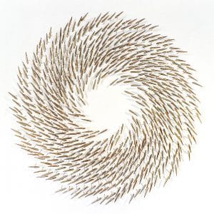 Ceramic Fish Installation