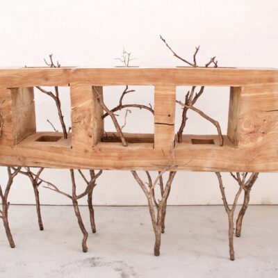 Evolution Console Table