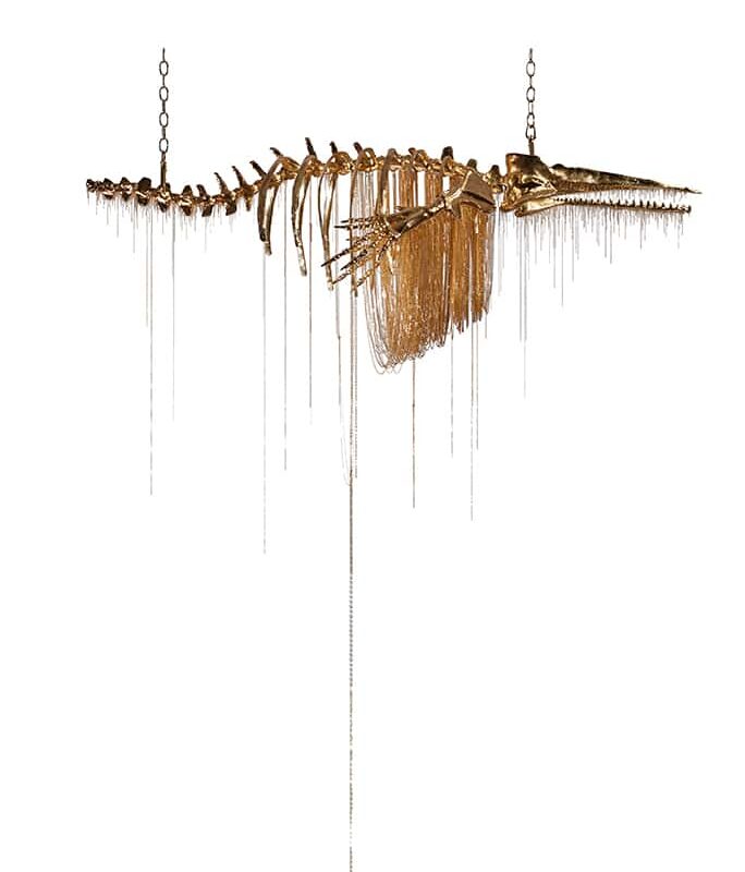 Blue Whale – Gold