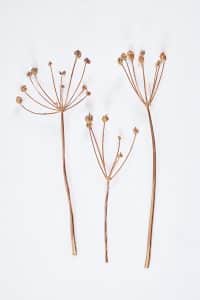 Constellation Flowers in Copper