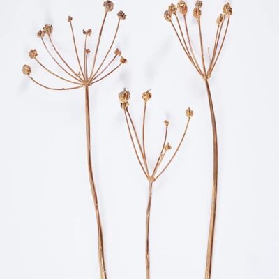 Constellation Flowers in Copper
