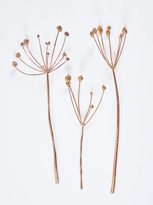 Constellation Flowers in Copper