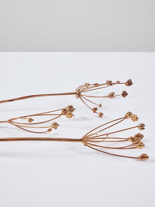 Constellation Flowers in Copper