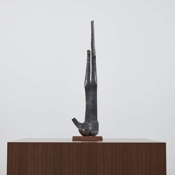 Icarus 1/84