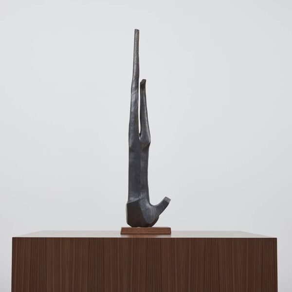 Icarus 1/84