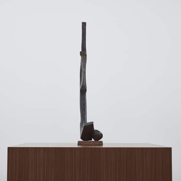 Icarus 1/84