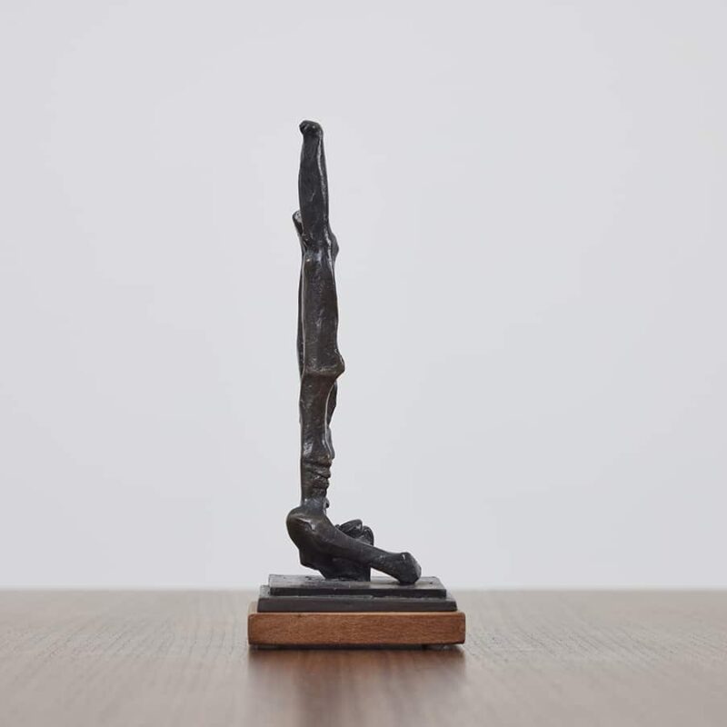 Icarus V