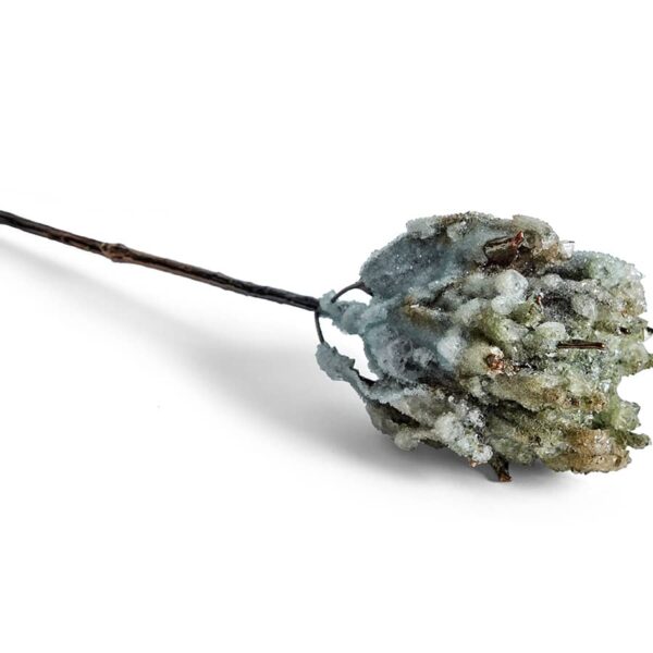 Crystalline Flora