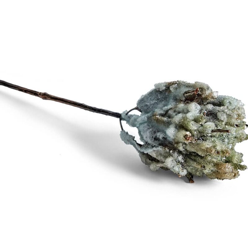 Crystalline Flora