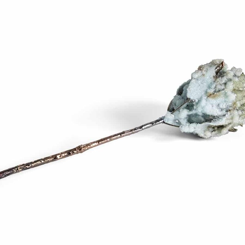 Crystalline Flora