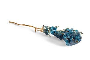 Crystalline Flora