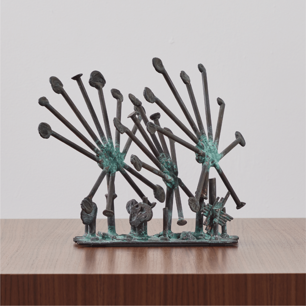 Sun Dew Plants by Klaus Ihlenfeld