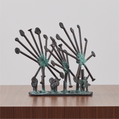 Sun Dew Plants by Klaus Ihlenfeld