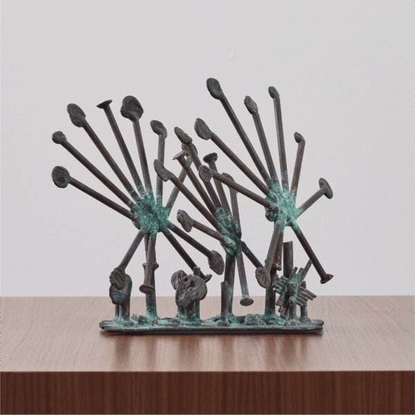 Sun Dew Plants by Klaus Ihlenfeld