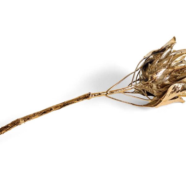 Metal Flora