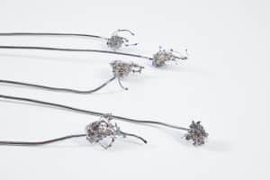 Spring Flowers in Gunmetal