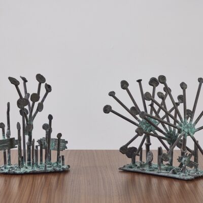 Sun Dew Plants by Klaus Ihlenfeld