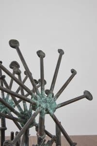 Sun Dew Plants by Klaus Ihlenfeld