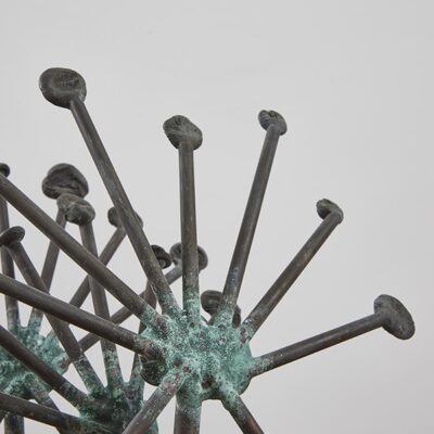 Sun Dew Plants by Klaus Ihlenfeld