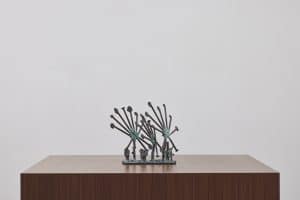 Sun Dew Plants by Klaus Ihlenfeld