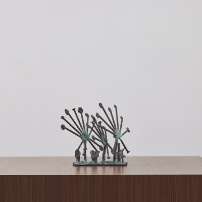 Sun Dew Plants by Klaus Ihlenfeld