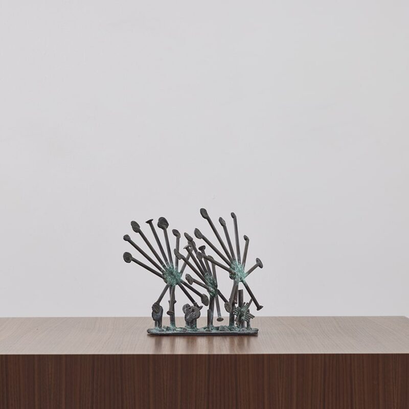 Sun Dew Plants by Klaus Ihlenfeld