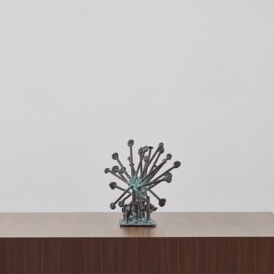 Sun Dew Plants by Klaus Ihlenfeld