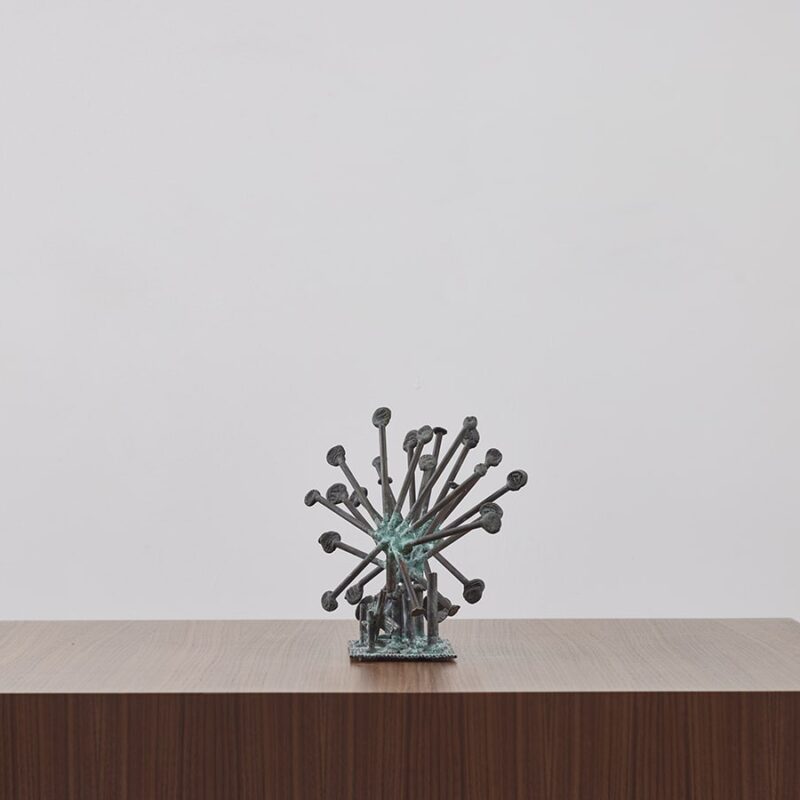 Sun Dew Plants by Klaus Ihlenfeld