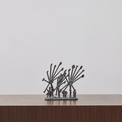 Sun Dew Plants by Klaus Ihlenfeld