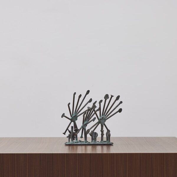 Sun Dew Plants by Klaus Ihlenfeld