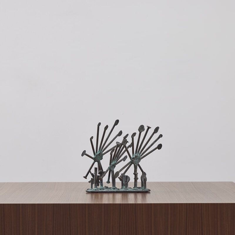 Sun Dew Plants by Klaus Ihlenfeld