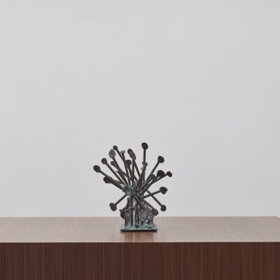 Sun Dew Plants by Klaus Ihlenfeld