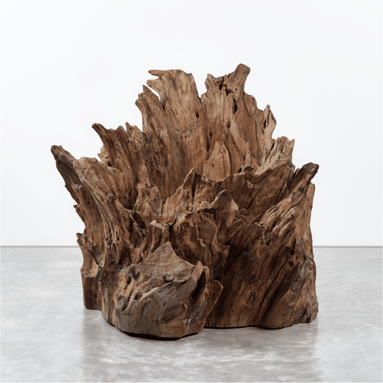 CoupXX WEB_Massive Rootwood Sculpture-