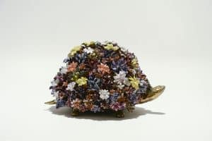 The Turtle
