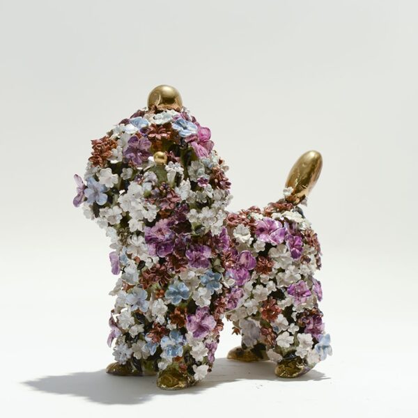 The Poodle