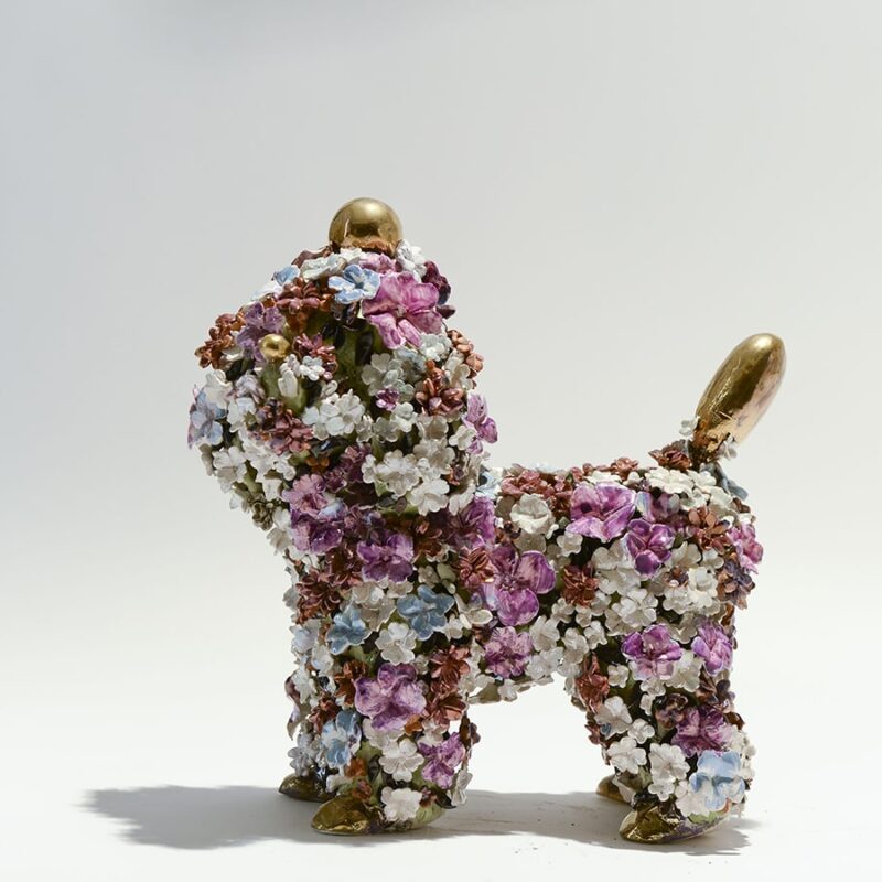 The Poodle