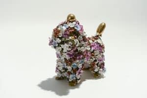 The Poodle