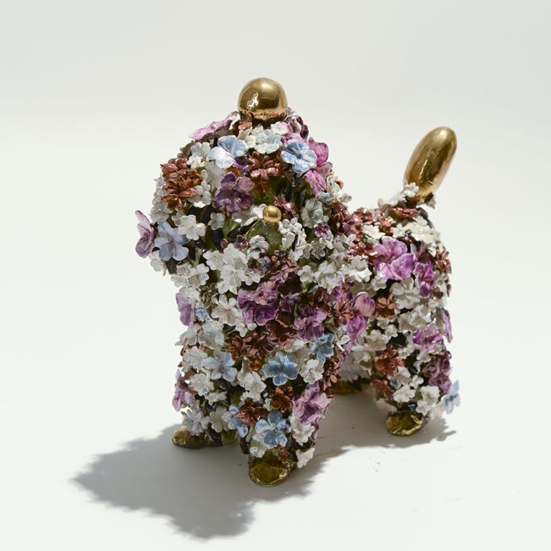 The Poodle