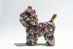 The Poodle