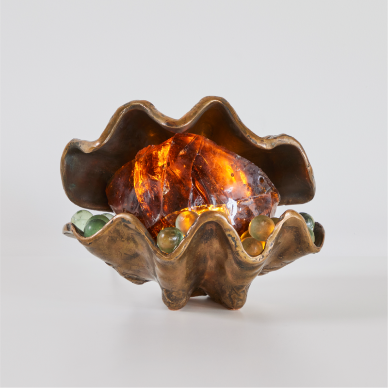 Tridacna Lamp