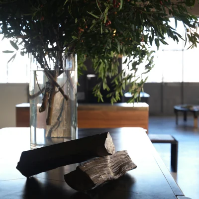 Bronze Logs – Set of 3