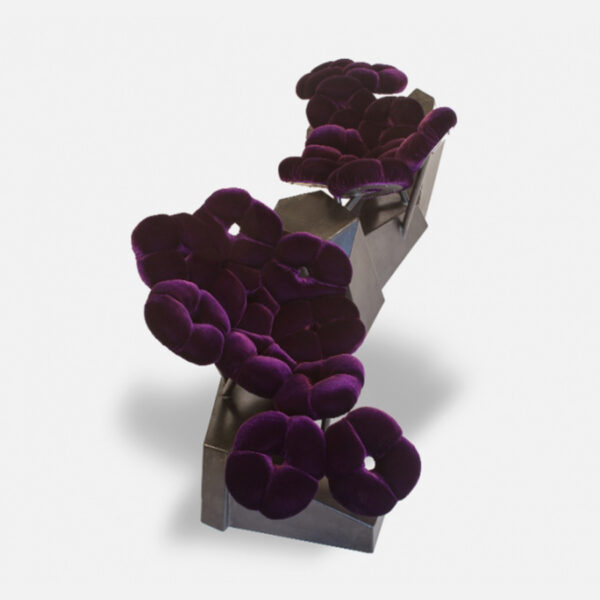 Dioscuri Tête à Tête